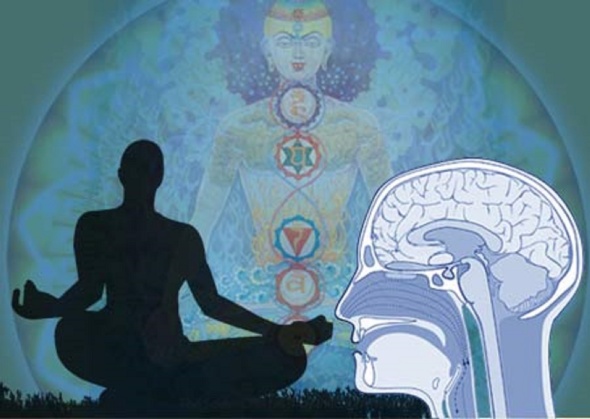 brain meditation