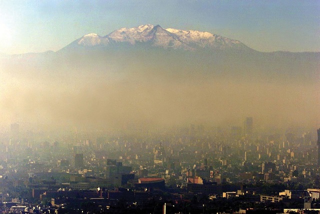 Mexico City's air pollution has detrimental impact on Alzheimer's disease gene